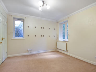 Picture 7